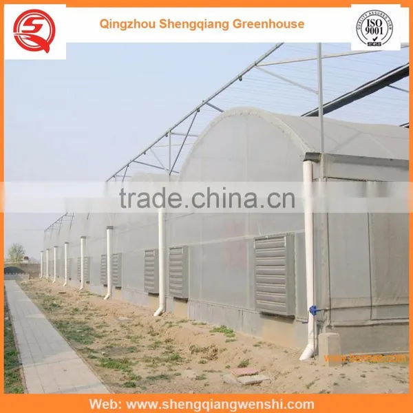 Agriculture Equipment Multi-span 6.0m PO Film Greenhouse for Sale photo-3