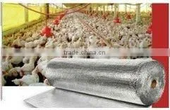 Aluminum Foil Bubble Insulation: Used in Wall/ Roof for Insulation photo-3