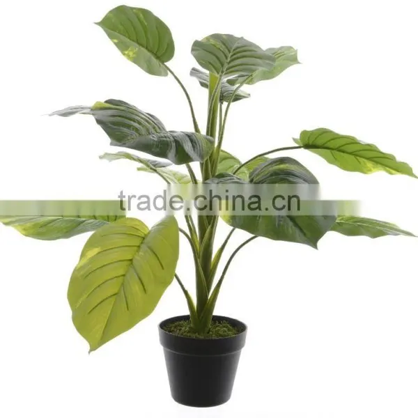 SJ0301115 Ornamental Landscaping Aquarium Plants Garden Decorative Green Plants photo-3