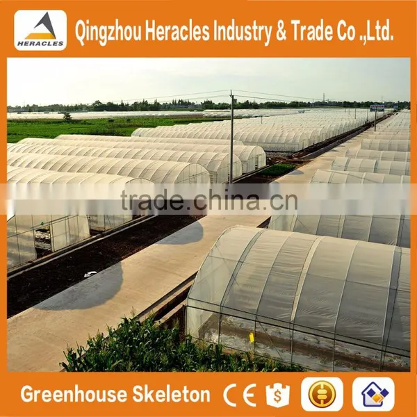 Heracles Low Cost Mini Greenhouse photo-3