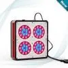 Apollo LED Grow Lights