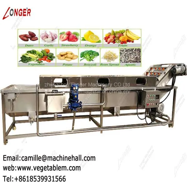 Industrial Vegetable Washer|Fruit Washer Machine Price|Dates Processing Plant Manufacturers|Dates Washing Machinery photo-4