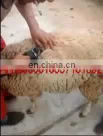 Best Quality Electric Sheep Shears/sheep Wool Clipper/ Professional Cordless Wool Shears