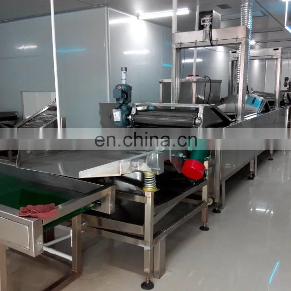 Hot Sale Automatic Potato French Fries Production Line Potato Chips Machine Line photo-5