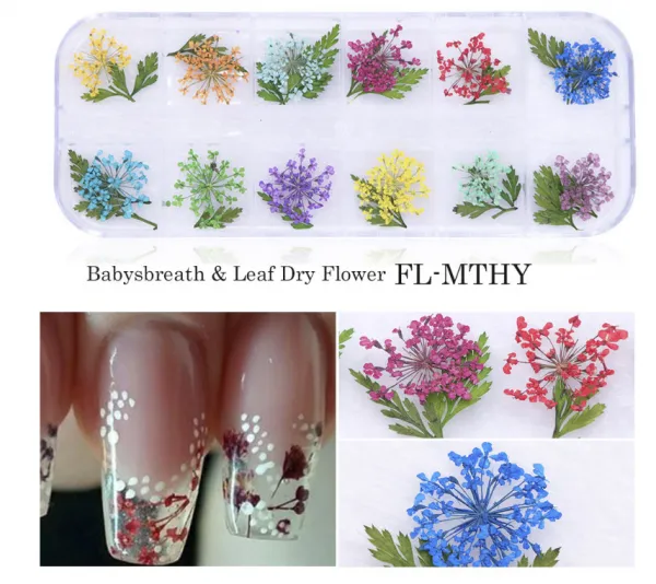 Dried Flower Nail Design Mixed Style Dry Flower For Diy Nails Design photo-3