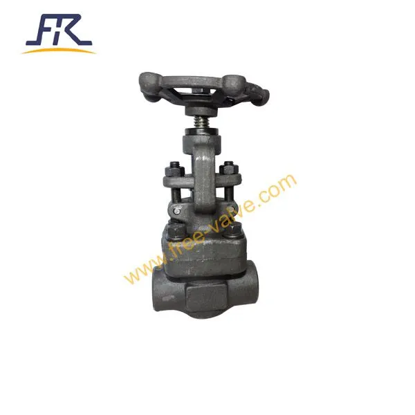 Socked Welding Type Globe Valve photo-3