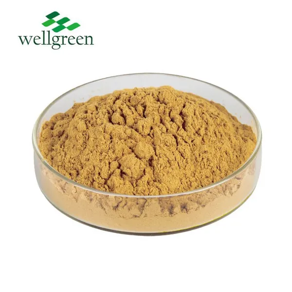 High Quality 100% Natural Supply Noni Fruit Extract Noni Fruit Enzyme Powder photo-2