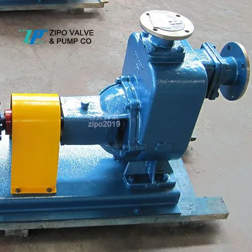 ZIPO no Blockage Horizontal Self-priming Pump Cast Iron Electric Sewage Pump ZZX or ZZW Type photo-5