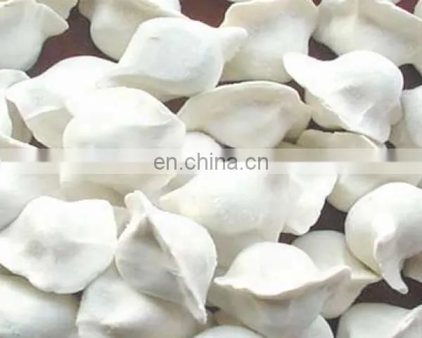 Instant Freezer of Fast Freezing Machine for Fish/meat/Seafood/chicken/pasta photo-3