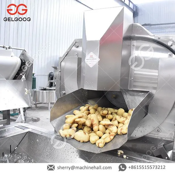 Hot Salegarlic Sauce Processing Line Industrial Fruit And Vegetable Blender Juice Sauce Making Machine