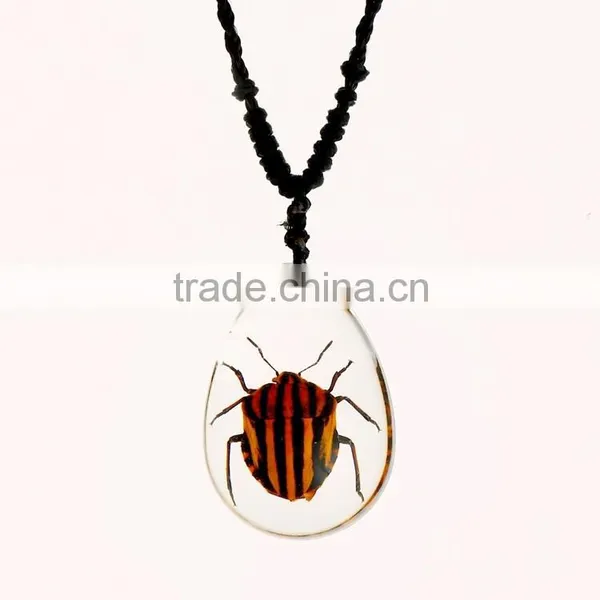 New Wholesale Fashion Lovely Necklace With Real Insect photo-5