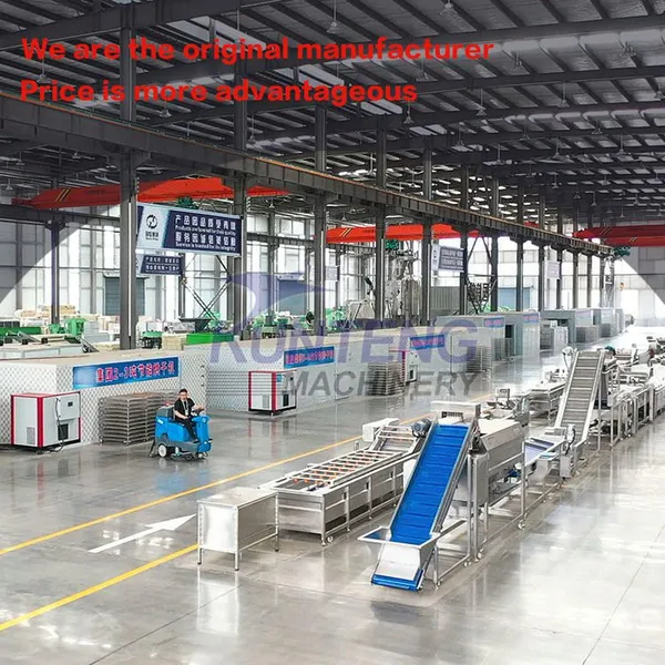 Spice Continuous Flow Dryer With Multiple Heat Sources Optional Peanut Crop Net Belt Dryer EPC photo-5