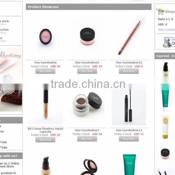 Flash Website, Flash Design, High Quality Flash Design photo-4