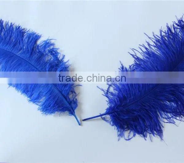 28"-30" Wholesale Bulk Blue Ostrich Feather For Wedding Table Decoration photo-6