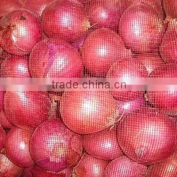 Onion From Nasik,India photo-2