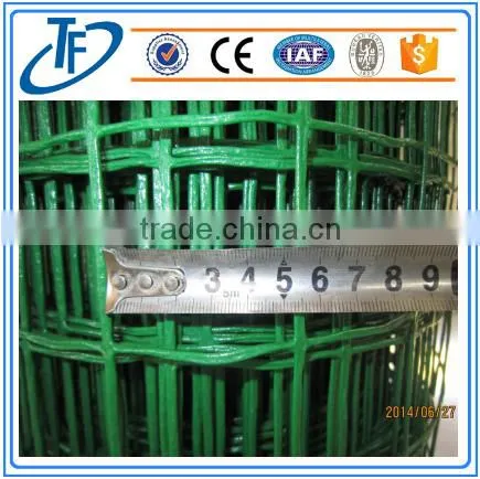 Holland Wire Mesh photo-5