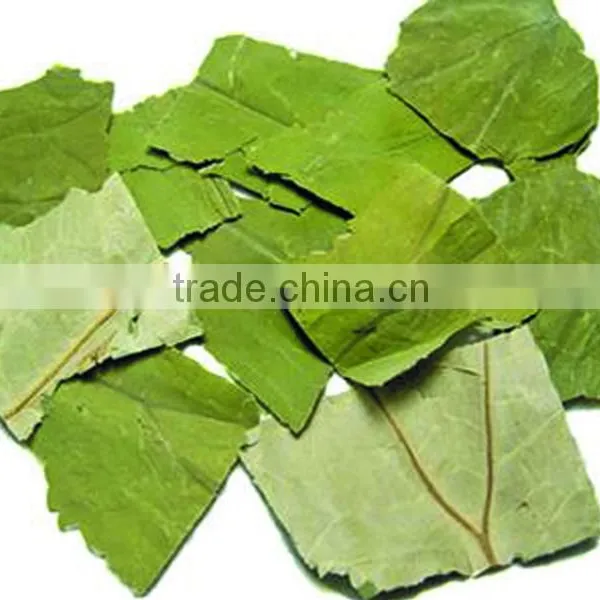 Top Quality Chinese Natural Herb Slimming Tea and Remove Heat Lotus Leaf Herbal Tea photo-3