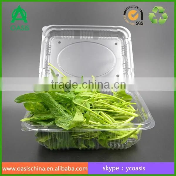 Plastic Clear Fruit Vegetable Packaging Box photo-3