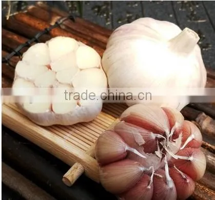 2016 NEW CROP GARLIC photo-6