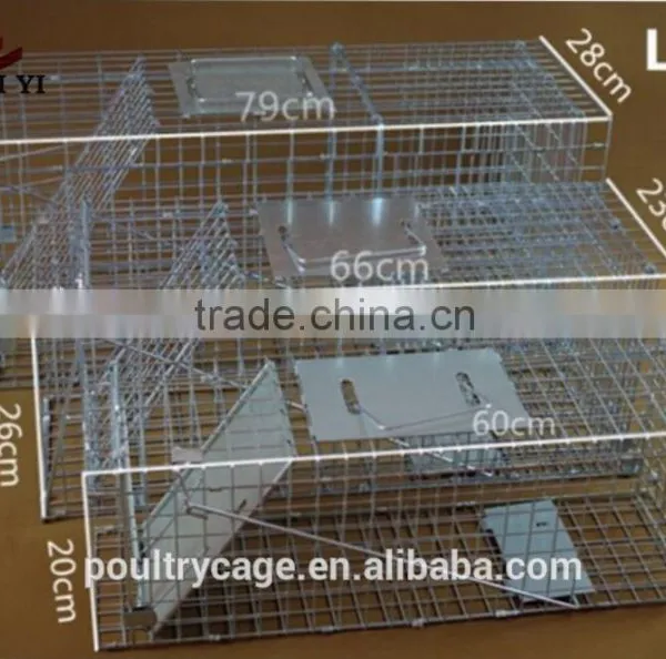 PVC Coated Mouse Catch Trap Cage And Mouse Cage Design photo-3