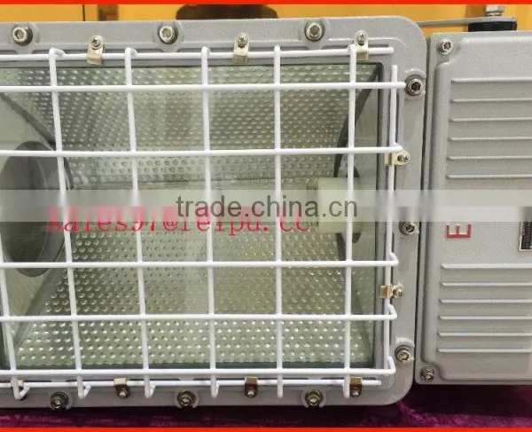 BAT53 Hazard Location Floodlighting High Pressure Hg Lamp G250 G400 photo-2