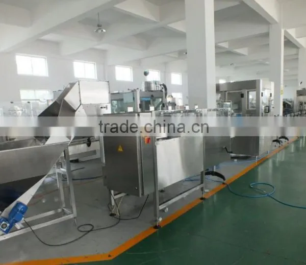 Sweet Bean Sauce Filling Machine photo-5