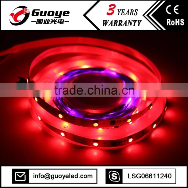 Popular Offer Programmable Led Strip With 5m 300leds Dream Color Led Strip photo-3