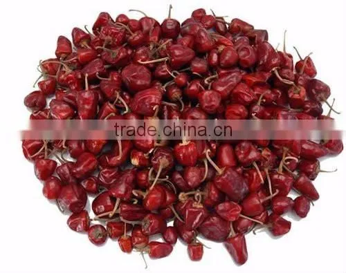 Mundu Red Chilles From Tamilnadu photo-2