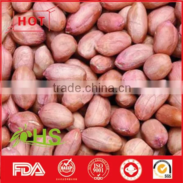 Round/long Size Red Skin Peanut Kernel photo-4