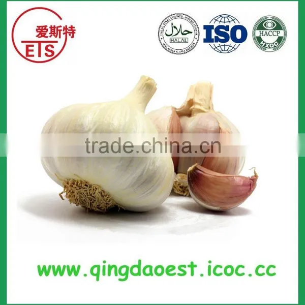 Jining White Garlic in Mesh Bag or Carton to Singapore photo-3
