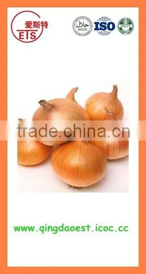 BUlk 2016 New Crop Fresh Yellow Onion photo-6