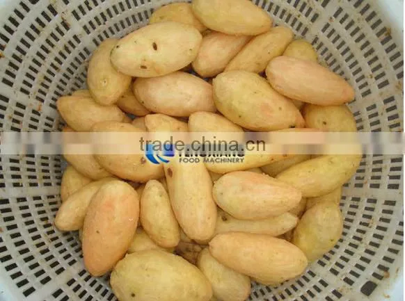 Commercial Potato Ginger Washer and Peeler Turnip Ginger Melon Fruit Ginger Washing and Peeling Machine photo-6