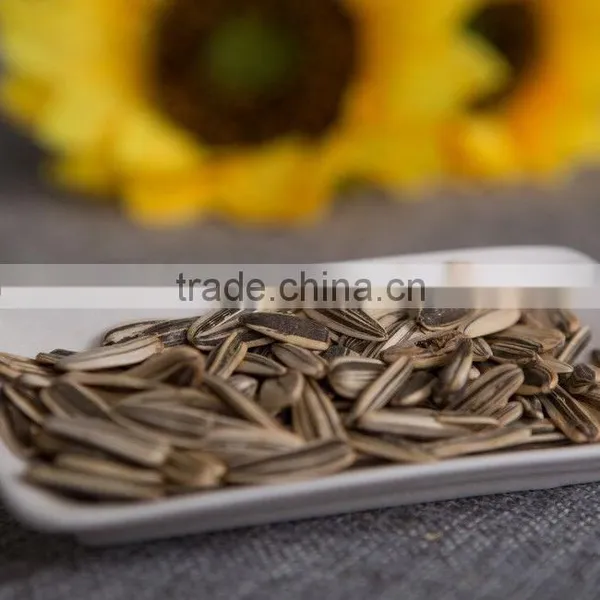2016 Hot Sale High Quality Sunflower Seed photo-5