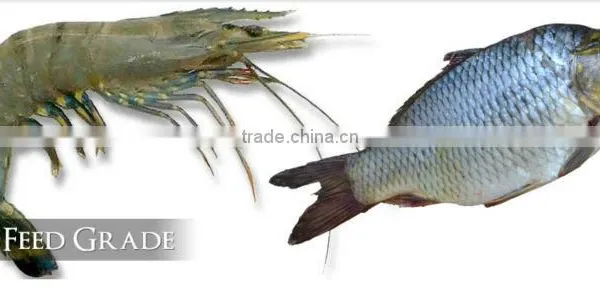 Factory Offer Soya Lecithin Shrimp and Fish Feed Additives photo-6