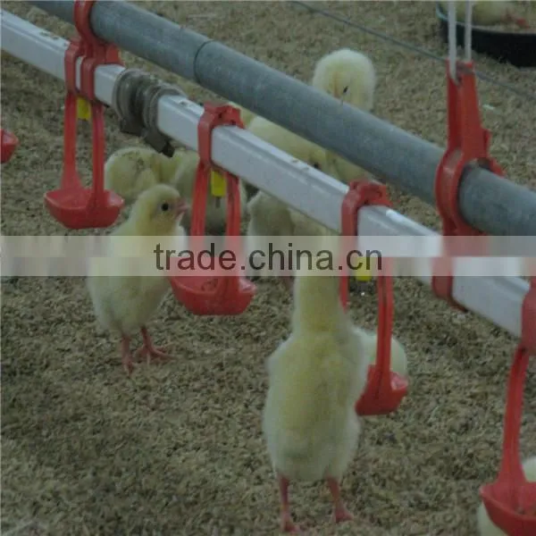 Chicken Poultry Rearing System photo-4