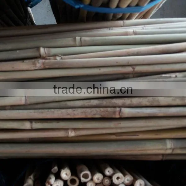 WY-213 2016 Hot Sale Natural Dry Strong Whole Part Moso Bamboo Poles for Agriculture and Construction photo-5