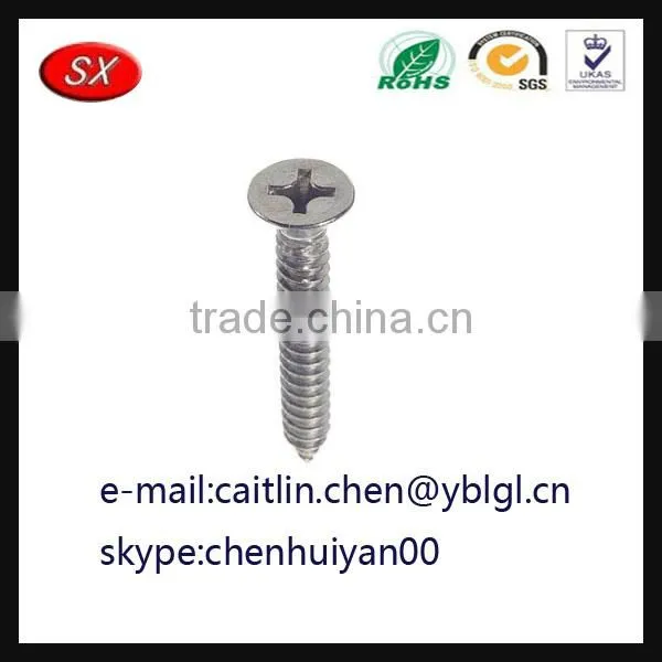 Gunagdong Province Stainless Steel Galvanized Pan Head Screw photo-2