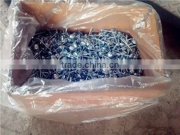 Hot-selling Polished Common Nails / Roofing Nails / Flat Head Nails photo-2