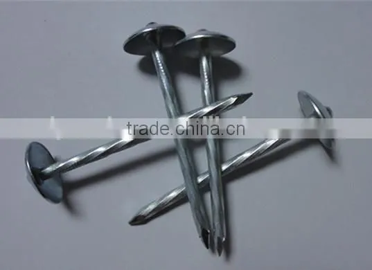 1.5"*14G Umbrella Head Smooth Plain Shank Roofing Nail China Factory photo-4