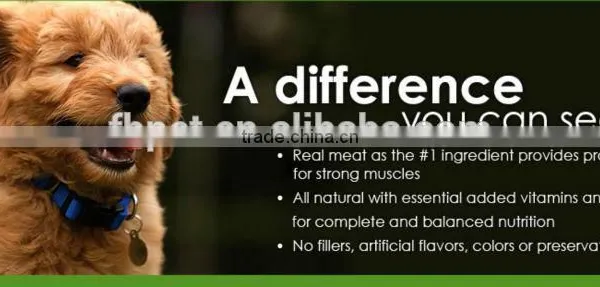 Healthy Benefit Dry Dog Food photo-3