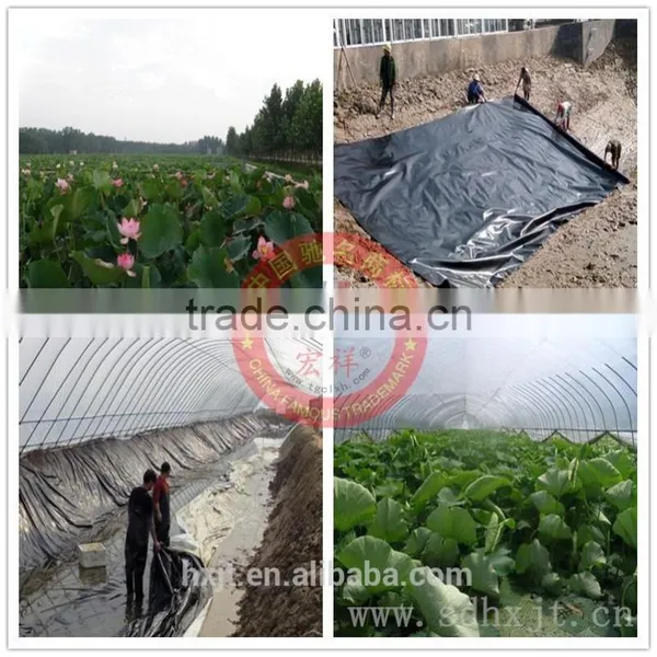 High Breaking Strength Geomembrane photo-3