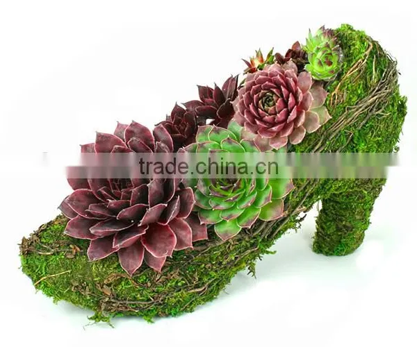 Botanical Moss Shoes Succulent Planter photo-2