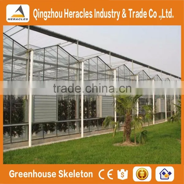 Heracles Trade Assurance Greenhouse Hydroponica photo-3