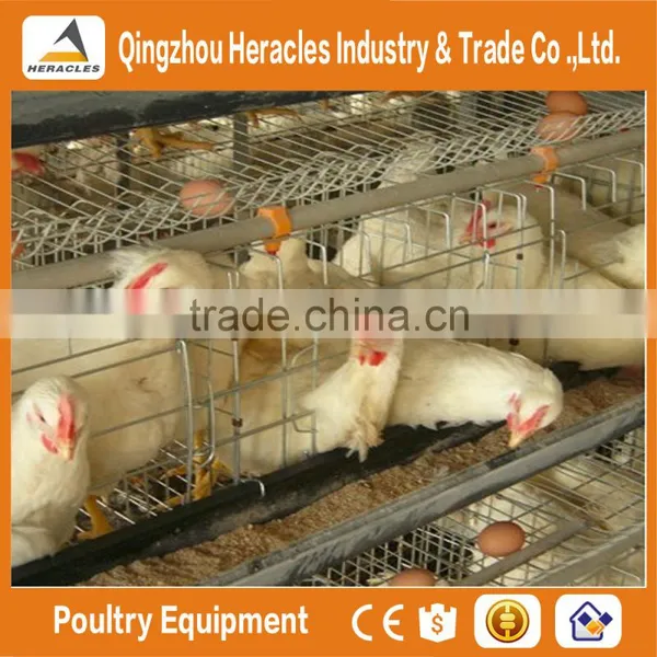 China Trade Assurance Chicken Bird Cage for Sale photo-3