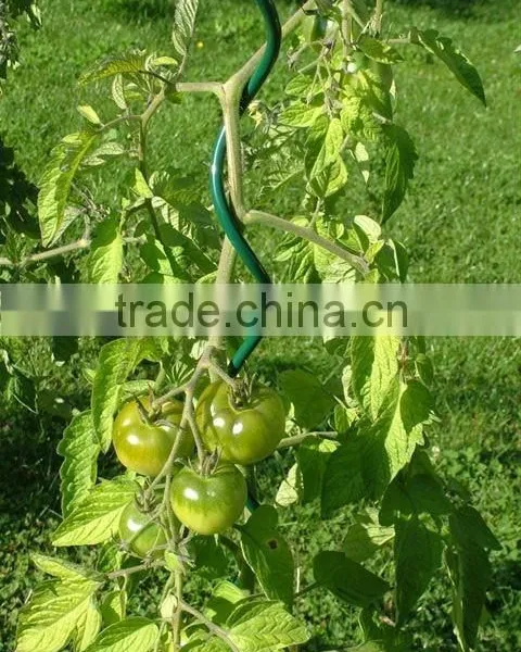 Iron Tomato Spiral for Plant Support photo-6