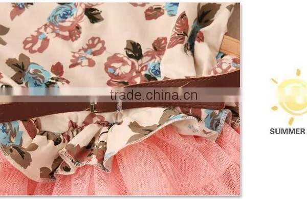 Free Shipping New Girls Baby Kids Toddlers Summer Floral Print Dress Bow Sleeveless Long Sleeve Tutu Dress Children's Clothing photo-4