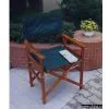 Director Chair