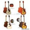 Sell Senior Acoustic Guitars