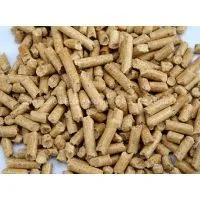 Sawdust Pellet Machine/Sawdust Pellet Mill/Large Sawdust Pellet Machine Manufacturer photo-2