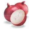 China Red Onion